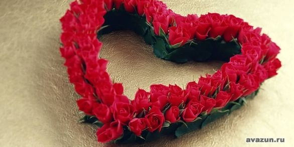 №8, Вадим Петров №8, Вадим Петров