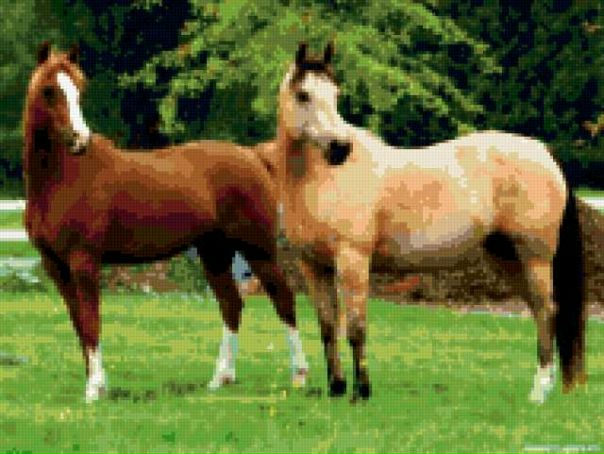 №38, Анастасия Ольховая, Москва №38, Анастасия Ольховая, Москва