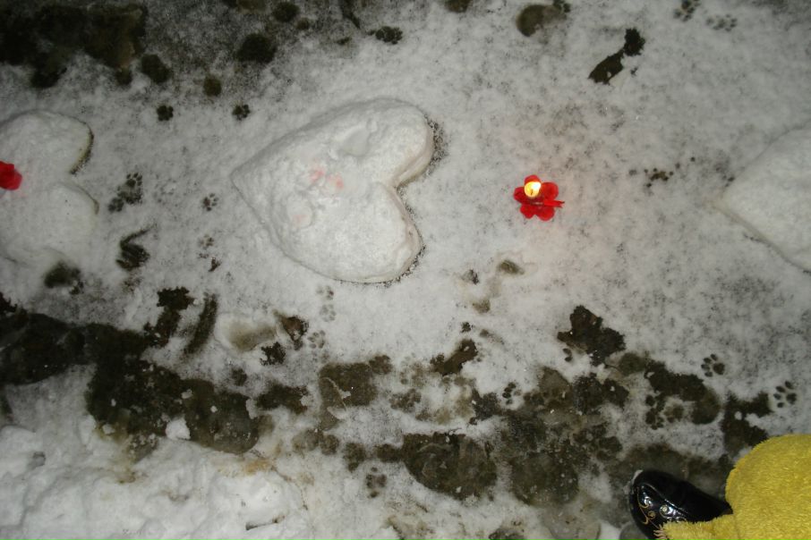 №21, Ольга Лушина, 51 год, Сочи №21, Ольга Лушина, 51 год, Сочи