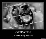 Фотография Гарик Мошаров