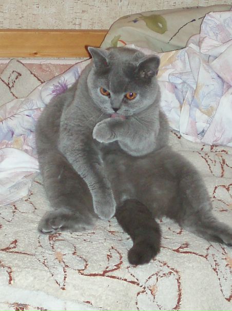 №151, Ольга Любушкина, 37 лет, Москва №151, Ольга Любушкина, 37 лет, Москва