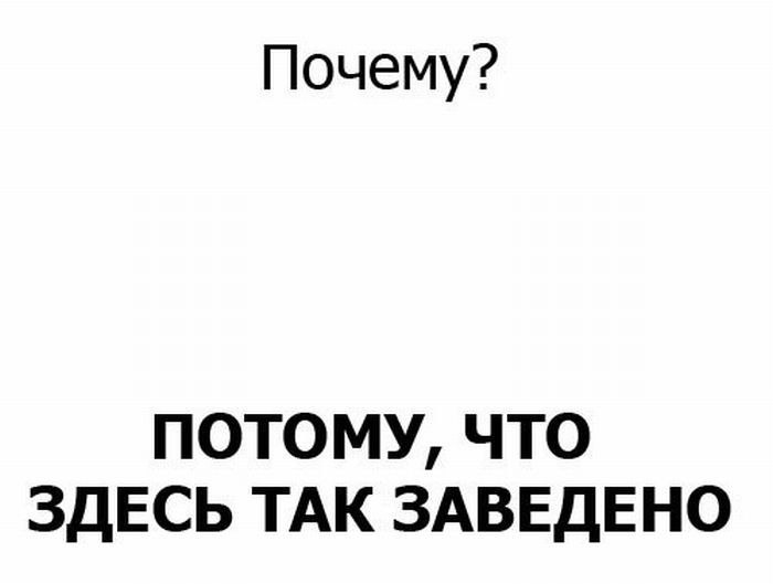 Алиса Бесфамильная | Калининград