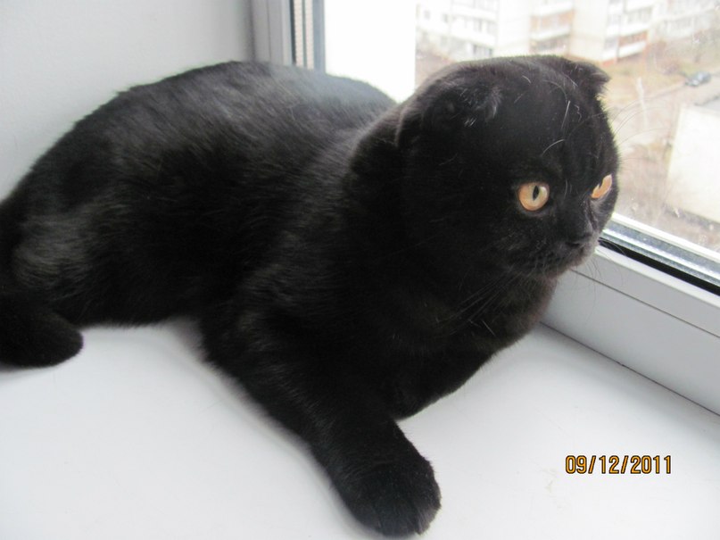 Оксана Мартынюк(Коваль) | Киев