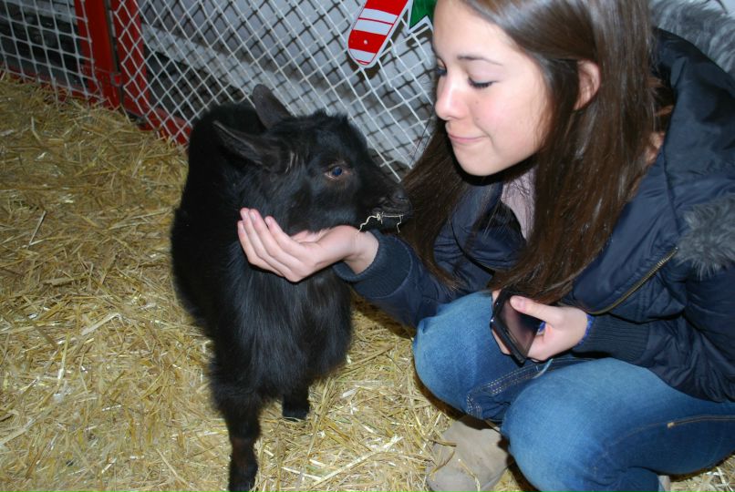 Диана Кузеванова <3 | Calgary