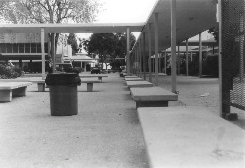 Руст Шарипов | Los Angeles