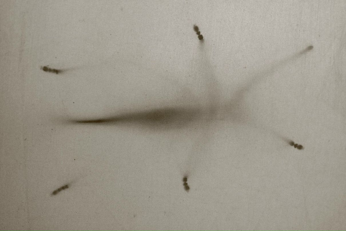 Julian Murasov | Москва