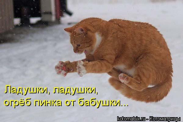 Леша Семенов игоревич | Брянск
