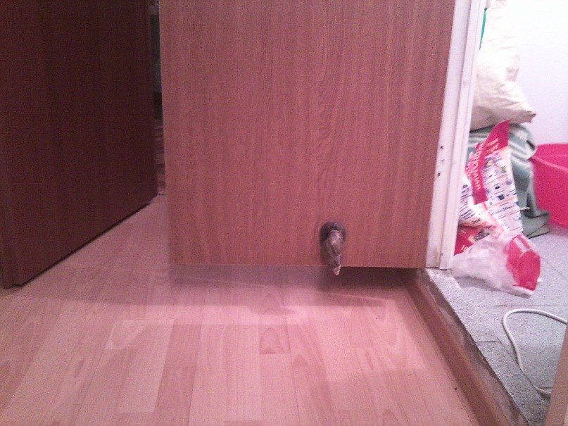 Ирина Леонова Иззах | Москва