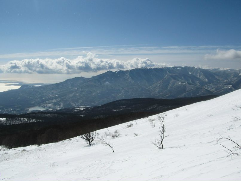 Алёна Шарая Миколаївна | Кривой Рог