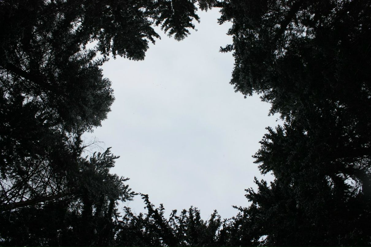 Анна Уразманова | Ижевск