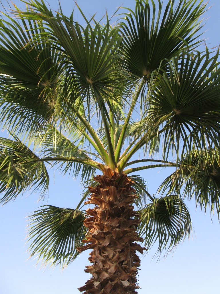 Ольга Дусманова | Москва