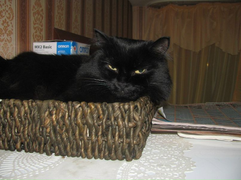 Марина Щербатова | Томск