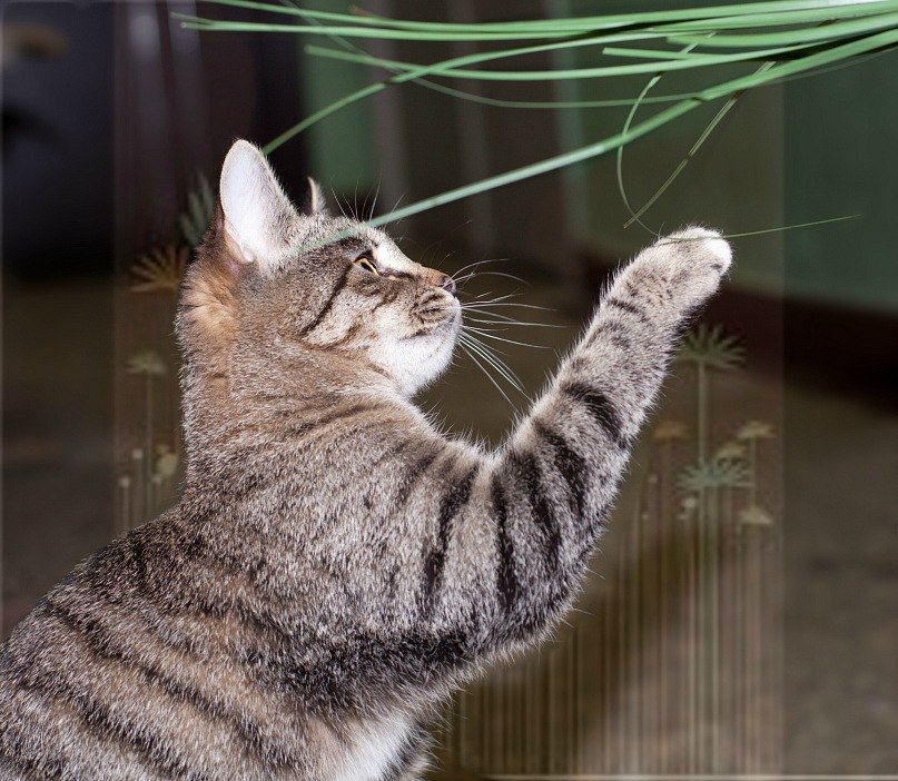 Maria Voroncova | Москва