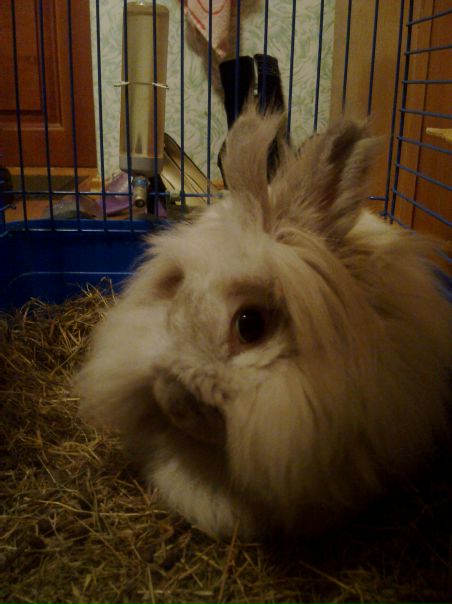 №9, Дмитрий Фёдоров №9, Дмитрий Фёдоров