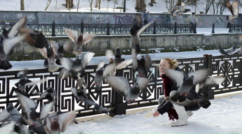 Анна Гринь | Симферополь