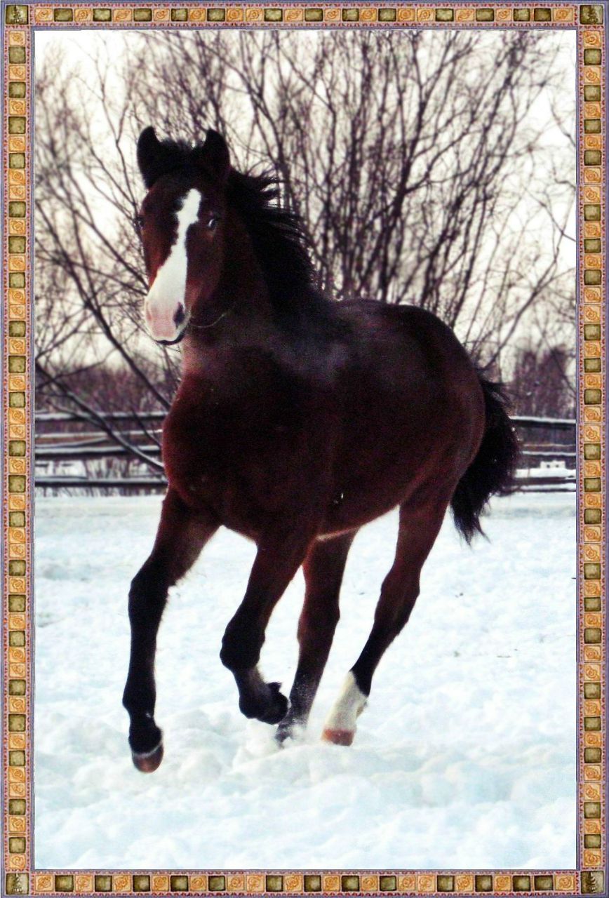 Анна Киприянова | Санкт-Петербург