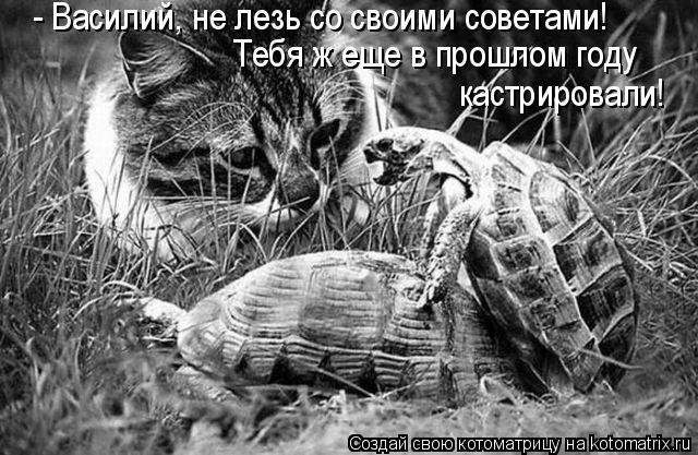 Тоха Cyberdaemon | Москва