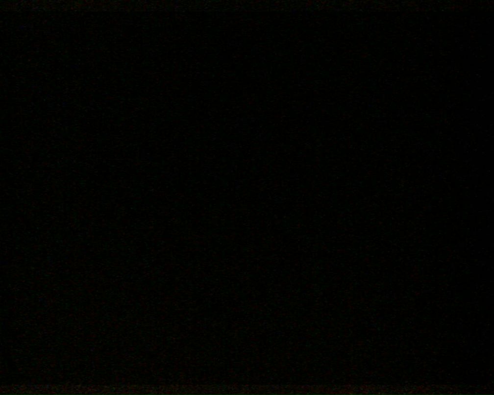 Вера Мусаелян | Москва