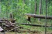 Андрей Хотькин фотография #16 (источник - https://vk.com/id136681850)