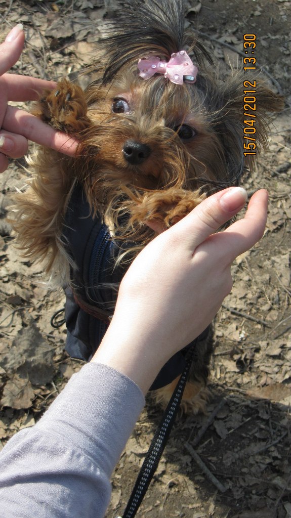 Яна Семёнова | Минск