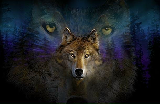 №99, Анна Орлова, Санкт-Петербург №99, Анна Орлова, Санкт-Петербург