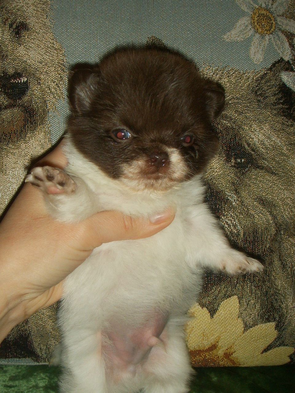 Екатерина Маркова | Пермь