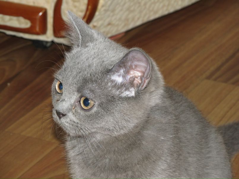 Ленуся Слесарева | Саранск