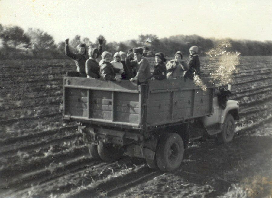 Николай Соколов Алексеевич | Воронеж