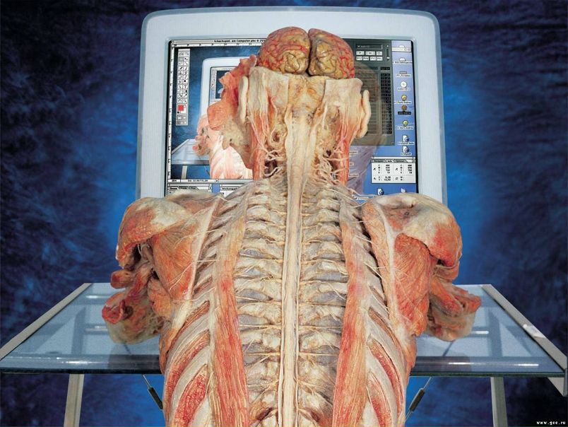 №2, Андрей Мазикин, 36 лет, Москва, Россия №2, Андрей Мазикин, 36 лет, Москва, Россия