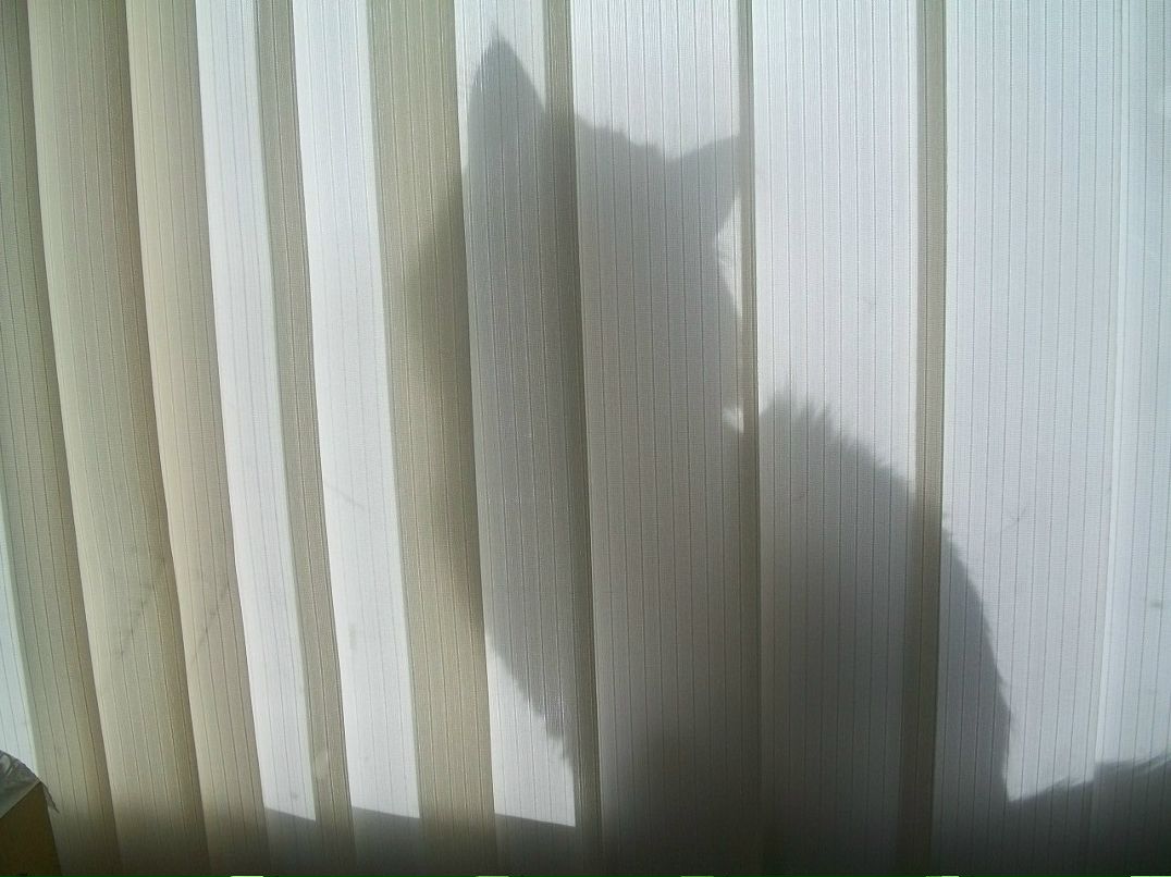 Любовь Воробьёва | Санкт-Петербург