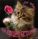 Фотография Оля Каленская