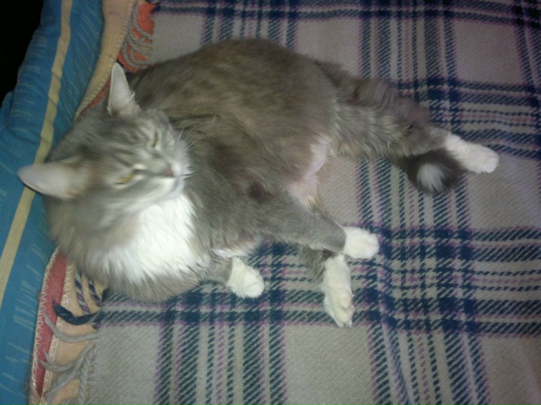 Роман Смирнов | Санкт-Петербург