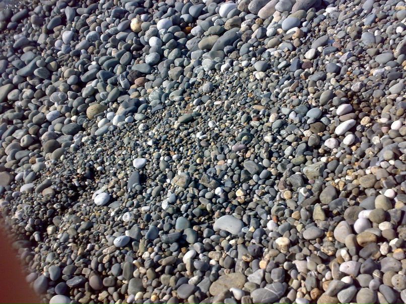 Александр Шехольцев | 