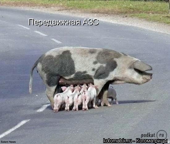 Людмила Микулич | Кременец