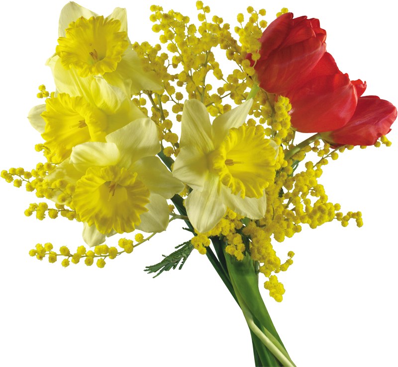 Сергей Грешнов | Санкт-Петербург