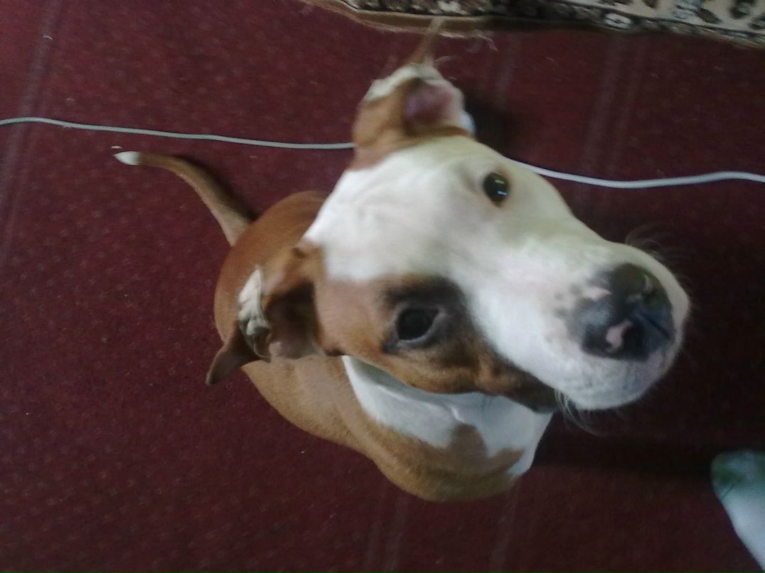 Олег Рыболов | 