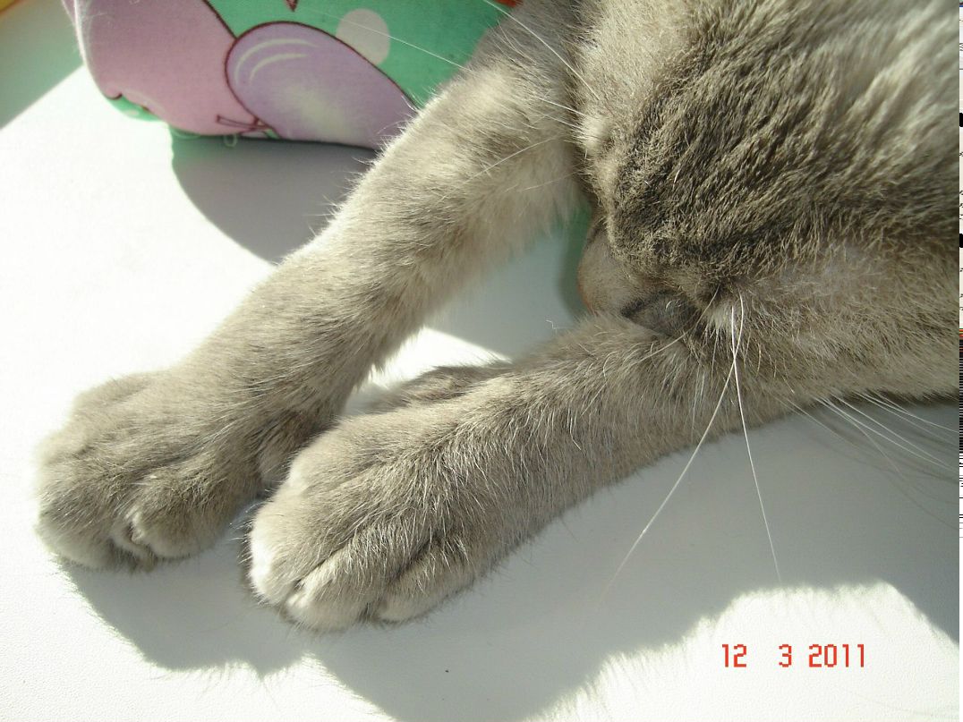 Денис Пономарев | Новосибирск