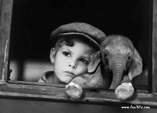 Лелик Жуков | Донецк