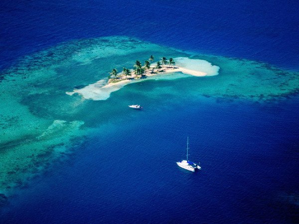 Татьяна Шевченко | Харьков