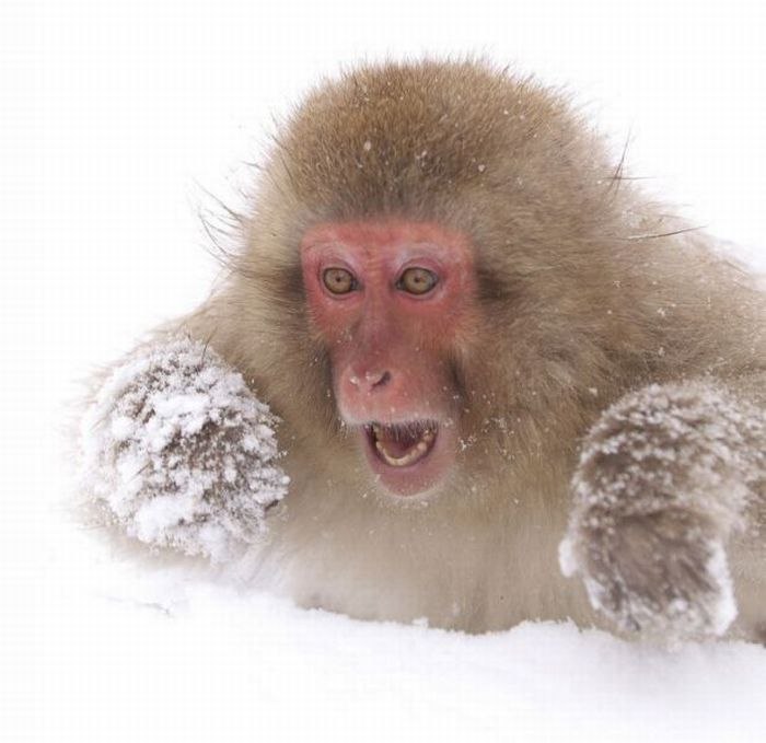 Иван Лавор BENDER | Минск