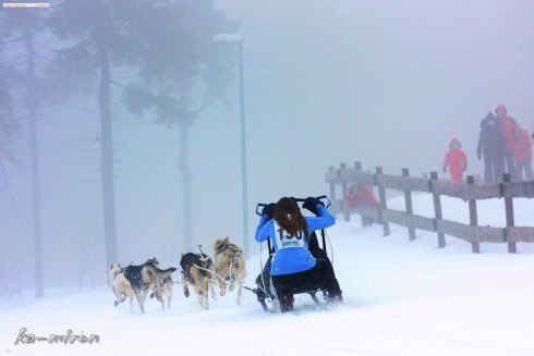 Анна Воробьёва | Санкт-Петербург