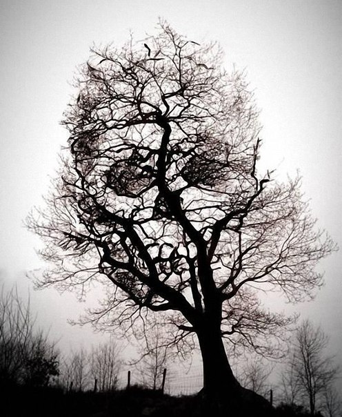 Аскела Арднас | Мурманск