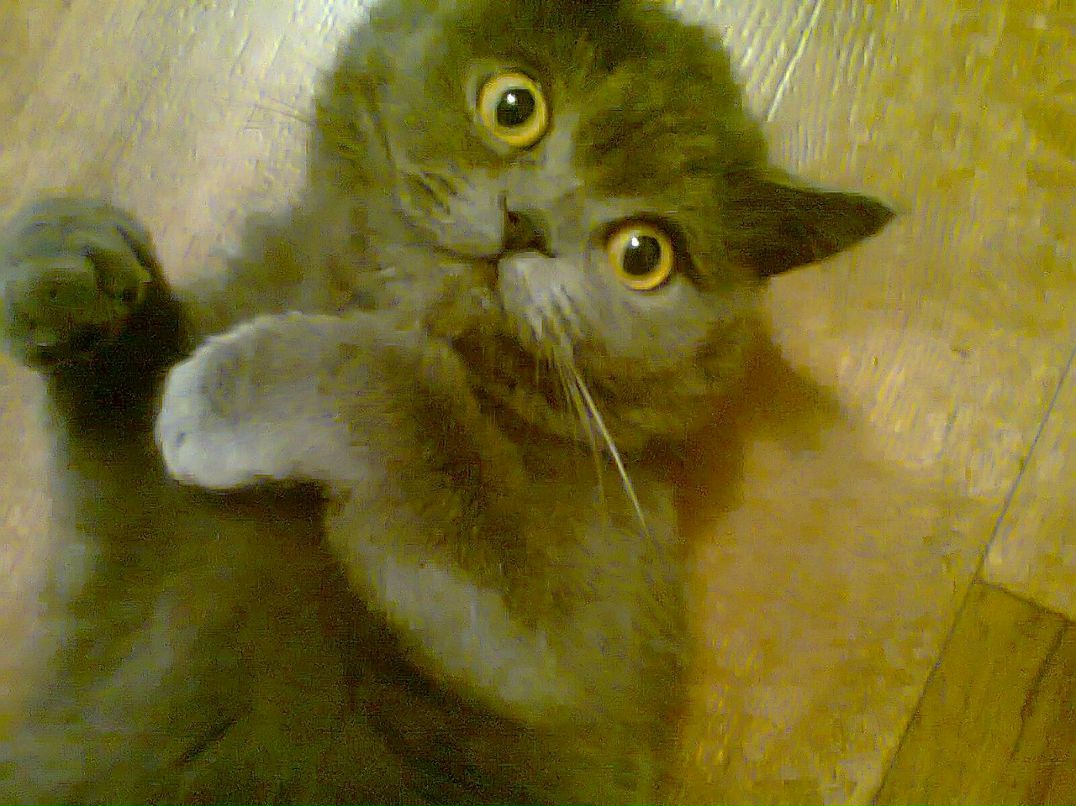 Юлия Силова | Омск