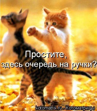 Сергей Макаревич | Воронеж