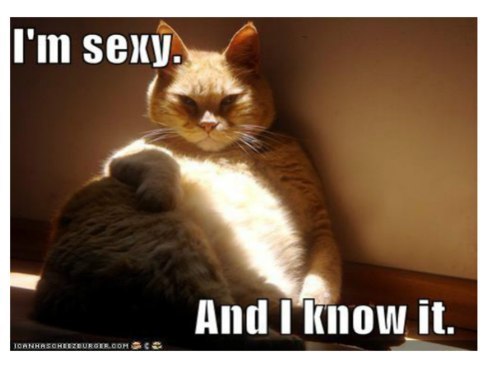 Николай Новосадский | Hobart