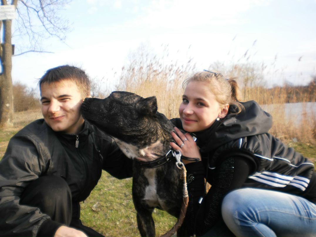 Гена Тележинський ↓↓The Boss↓↓ | 