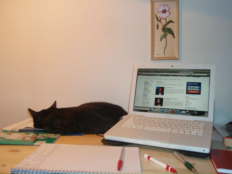 Мария Журавлева | New York City