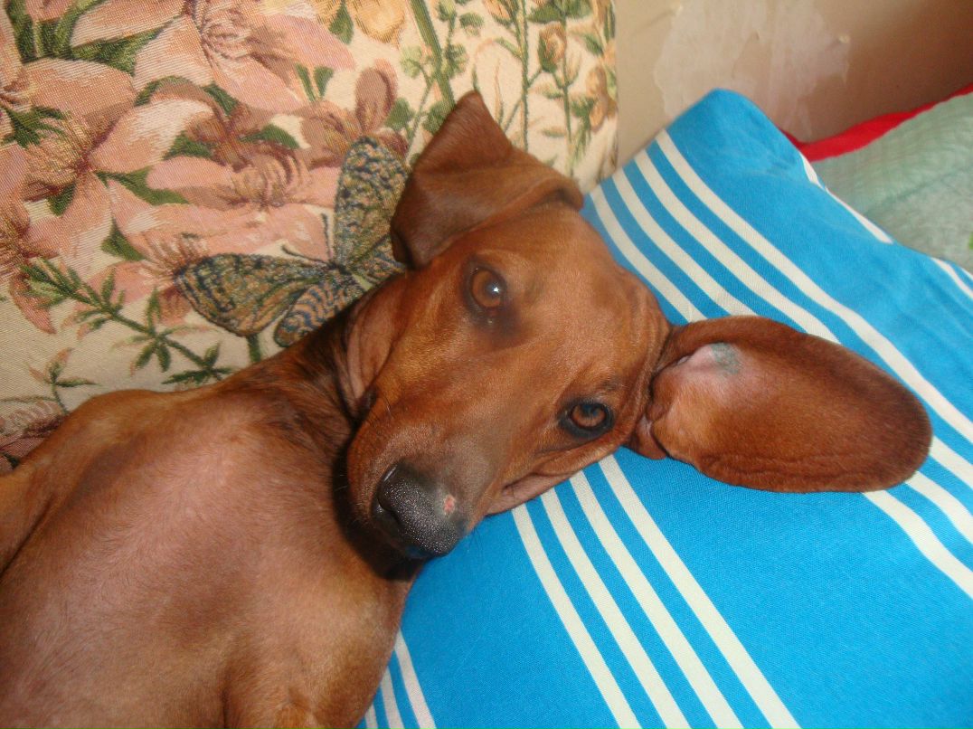 Галина Некрасова | Саратов