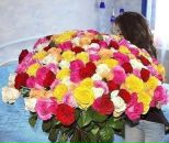 №19 Катя Гришина 15.08.1989: профиль, фото, статус - ВКонтакте №19 Катя Гришина 15.08.1989: профиль, фото, статус - ВКонтакте