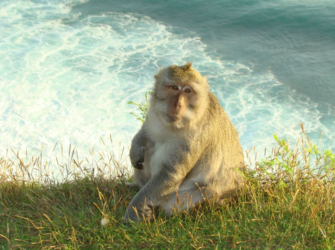 Александр Финк | Санкт-Петербург